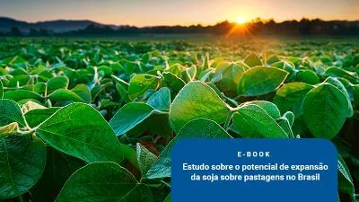 Baixe agora o estudo de aptidão agrícola para a soja no Brasil: uma nova perspectiva sobre o potencial de crescimento sustentável da agricultura