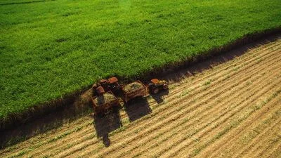 15,8% dos produtores rurais dos principais estados voltados ao agronegócio no país estão inadimplentes