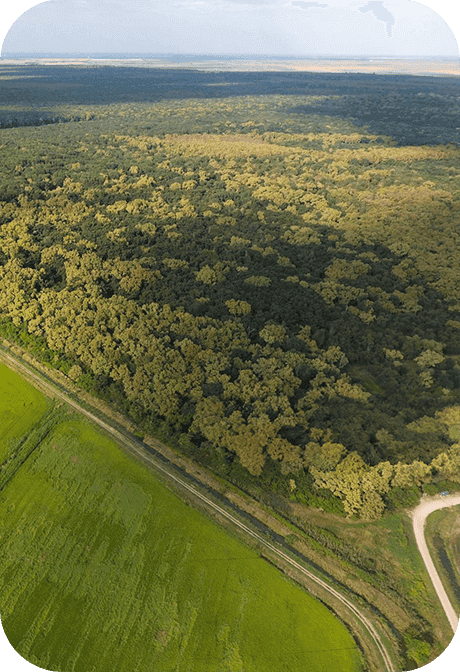 Imagem de capa: Conformidade socioambiental