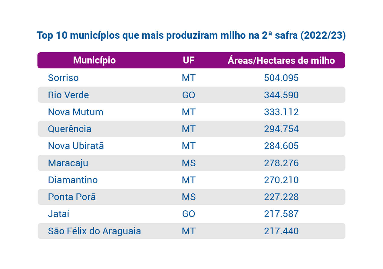 Serasa Experian Lista Top 10 municipios que mais produziram milho na segunda safra 2022/2023