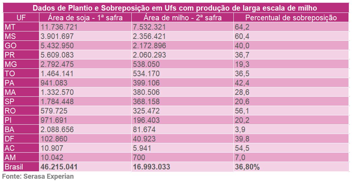 Tabela da Serasa Experian com dados de plantio e sobreposição em UFs com produção de larga escala de milho