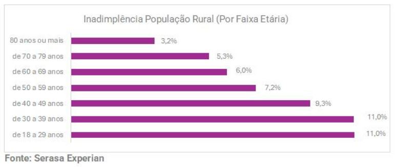 Gráfico da Serasa Experian com dados sobre a inadimplência da população rural dividido por faixa etária novembro de 2024